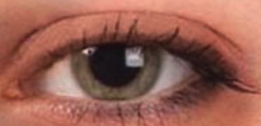 Help for the Blind and Sigh...