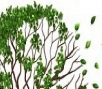 Understanding Dementia Workshop Event Image