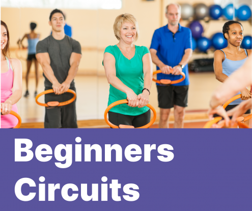 Beginners Circuits