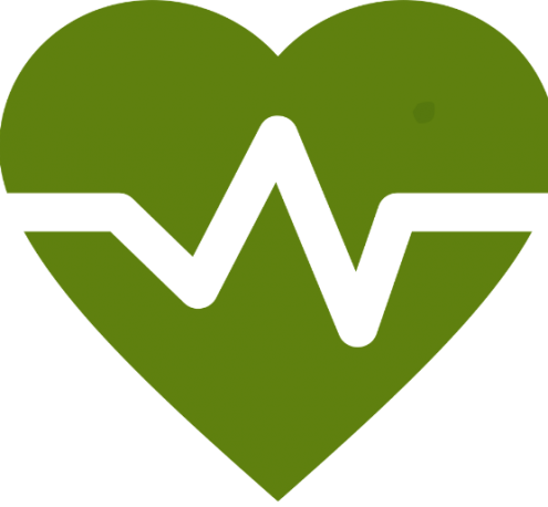 Health Check icon